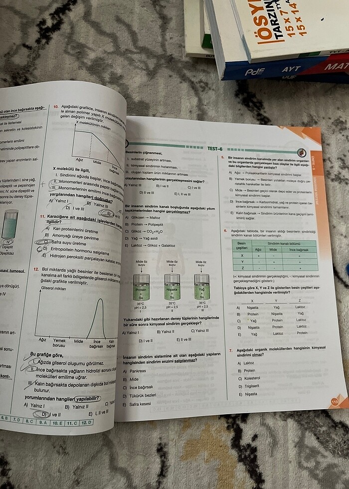 11. sınıf biyoloji kitabı - Görsel 5