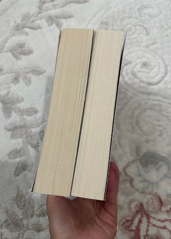 Hırsızlar Dansı ve Hırsızların Yemini Romanları