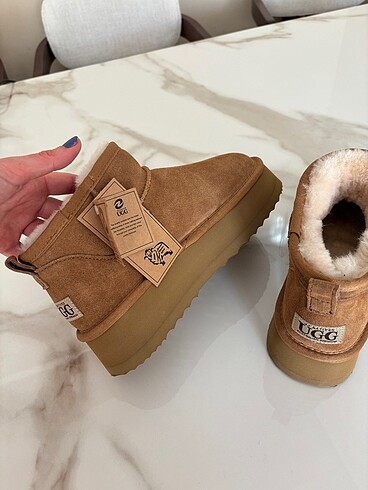 Ugg Ugg Bot