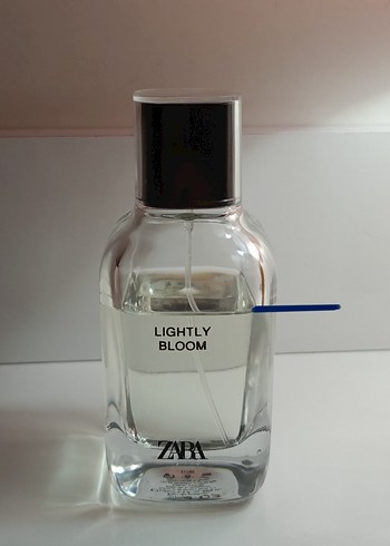 Lightly Bloom