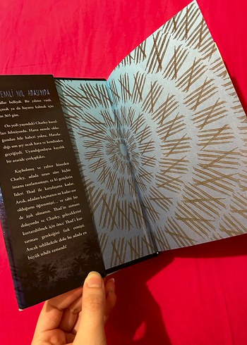 Lynne matson ada kitabı - Görsel 4