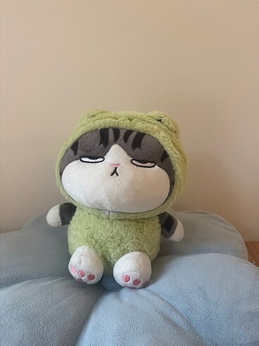 Kawaii Kedi