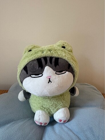  Beden Kawaii Kedi