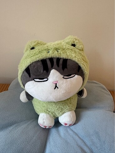  Beden Renk Kawaii Kedi