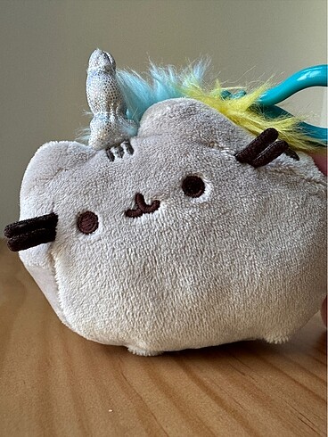Beden Pusheen