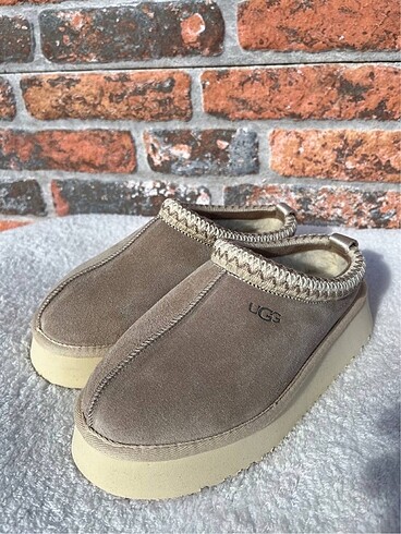 UGG tazz terlik