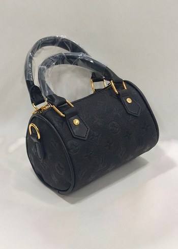 Louis Vuitton Louis vuitton Spedy 17x12