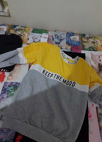 Diğer Sweat