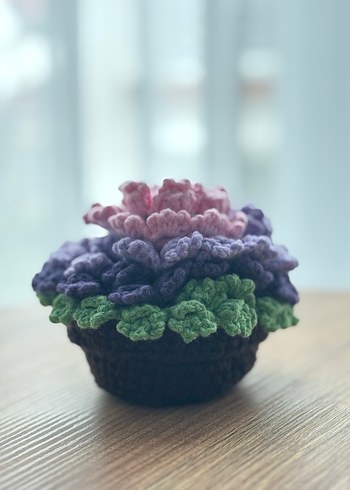 El Yapımı Örgü Çiçekli Bardak Altlığı ve Saksısı - Görsel 6