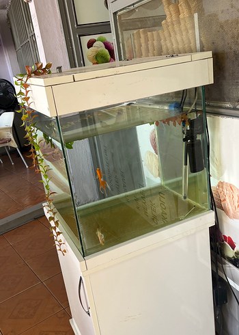 Beyaz Akvaryum ve Standı