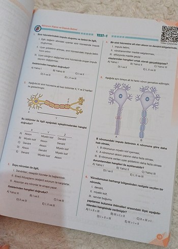 Beden Renk 11. Sınıf Biyoloji Soru Kitabı Palme