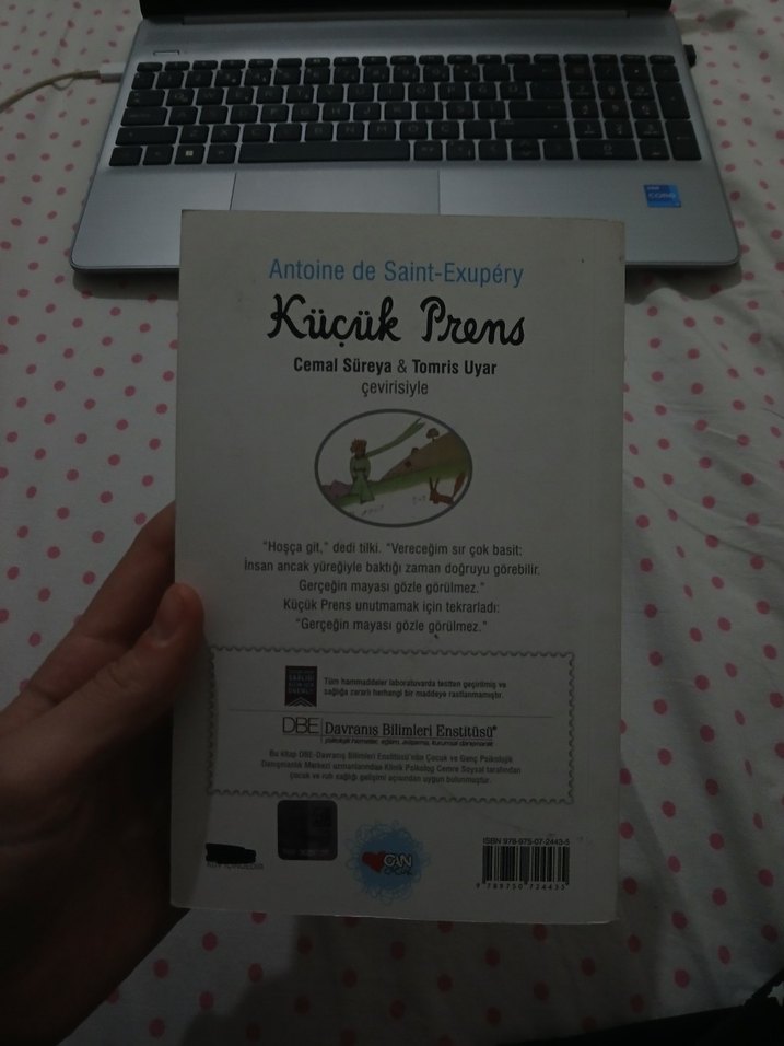 Küçük Prens - Antoine de Saint-Exupéry - Görsel 2