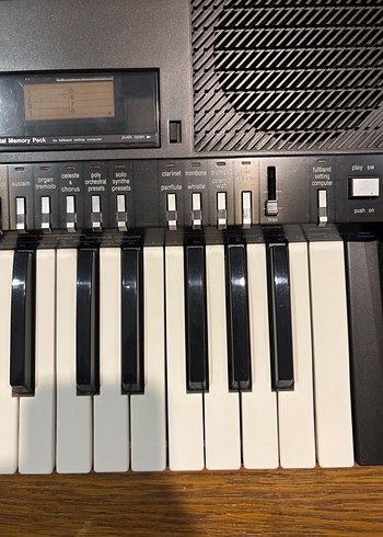 Technics SX-K200 Klavye Org - Görsel 14