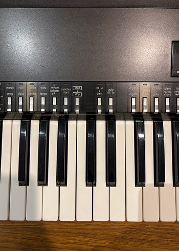 Technics SX-K200 Klavye Org - Görsel 13