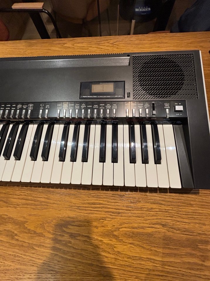 Technics SX-K200 Klavye Org - Görsel 3