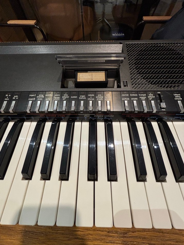 Technics SX-K200 Klavye Org - Görsel 4