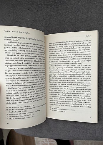 Frankfurt Okulu'nda Sanat ve Toplum - Besim F. Delaloğlu