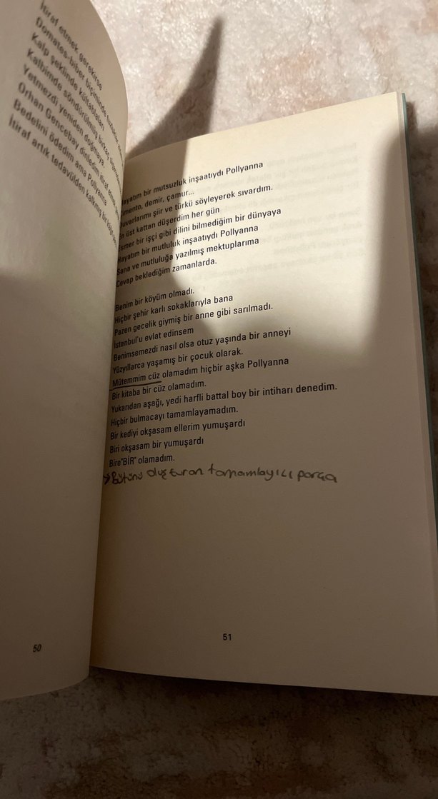 Didem Madak - Ahlat Ağacı Şiir Kitabı - Görsel 2