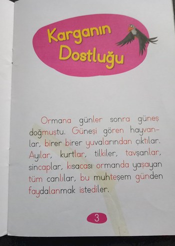 Karganın Dostluğu - Renkli Heceli 1. Sınıf Çocuk Kitabı