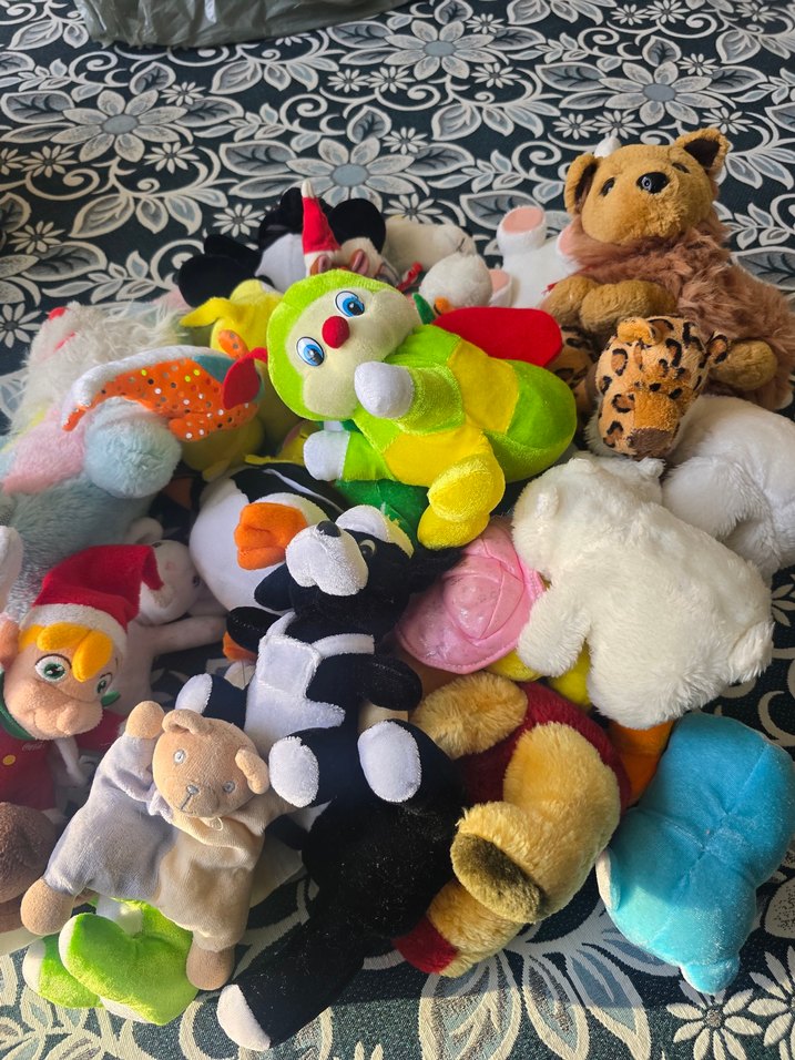 Renkli Peluş Oyuncak Koleksiyonu - Görsel 3