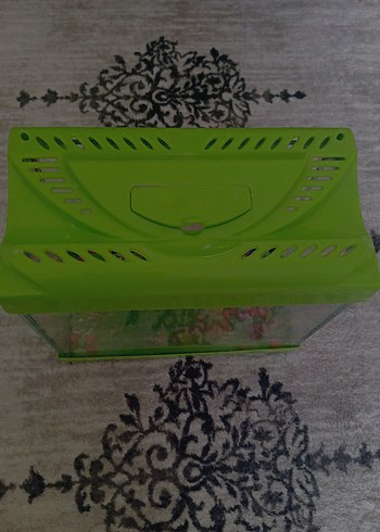 Yeşil Akvaryum ve Süs Bitkisi - Görsel 3