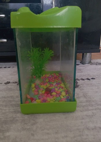 Yeşil Akvaryum ve Süs Bitkisi - Görsel 2