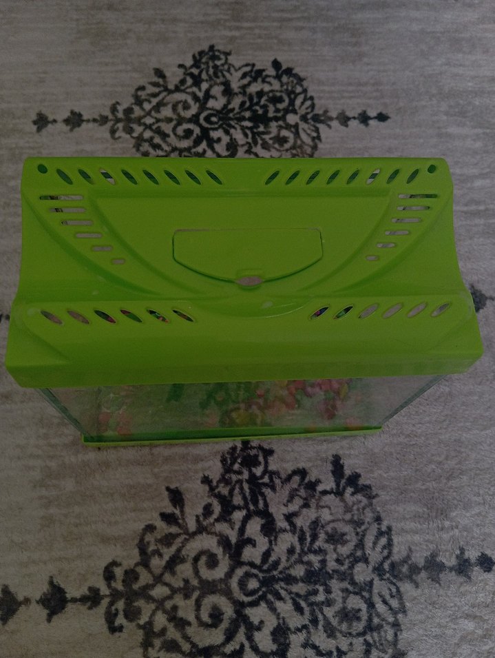 Yeşil Akvaryum ve Süs Bitkisi - Görsel 3