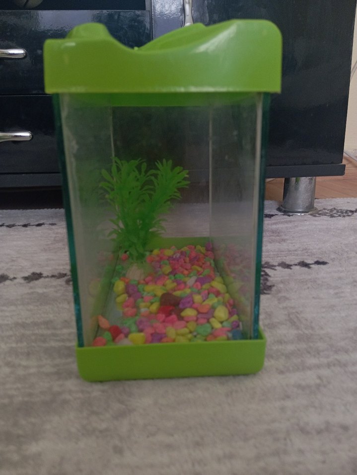 Yeşil Akvaryum ve Süs Bitkisi - Görsel 2