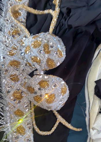 Oryantal Kostümü ayakkabı ile - Görsel 8