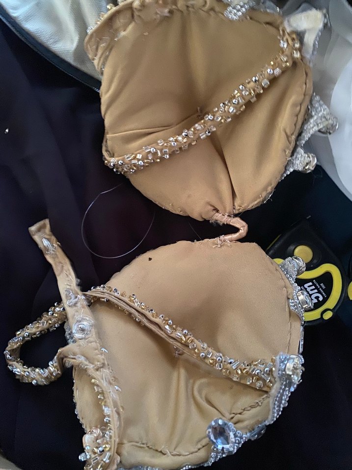 Oryantal Kostümü ayakkabı ile - Görsel 4