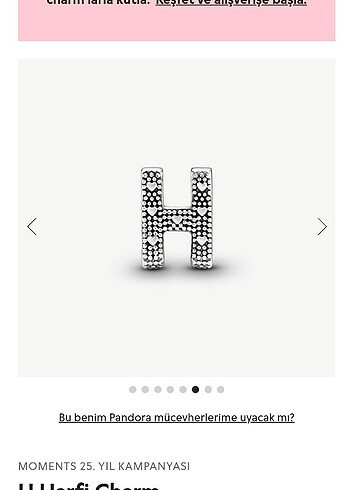 Pandora charm