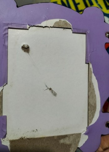 Revolution friends far paleti - Görsel 3