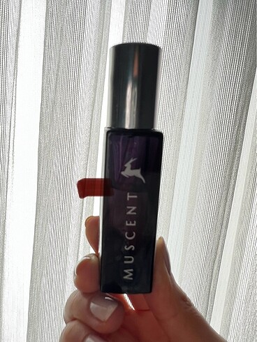 Beden Muscent Balenciaga Rosabotanica Parfüm 15 ml