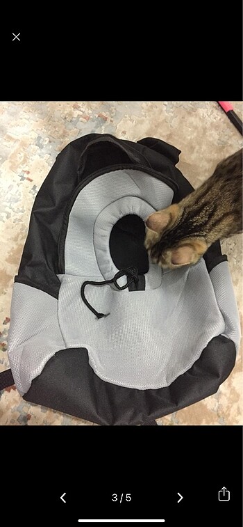  Beden Kedi taşıma çantası