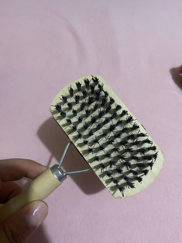 Bej Parlak Kedi Tüyü Fırçası - Görsel 2