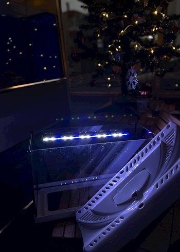 Mavi&Beyaz akvaryum ışığı - Görsel 3