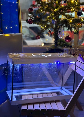 Mavi&Beyaz akvaryum ışığı - Görsel 4