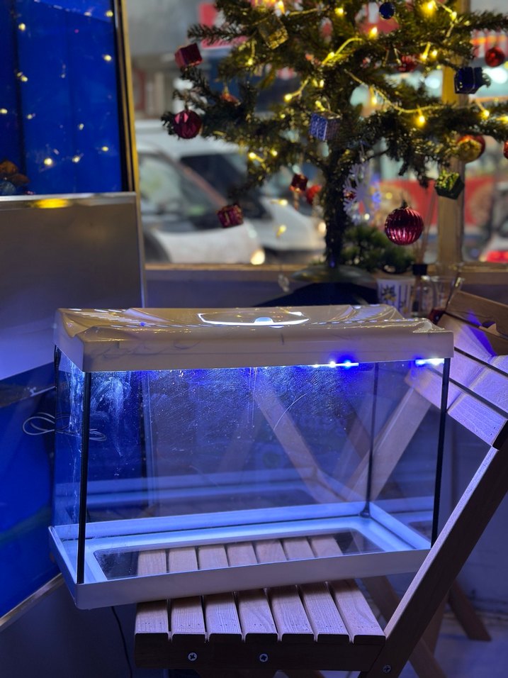 Mavi&Beyaz akvaryum ışığı - Görsel 4