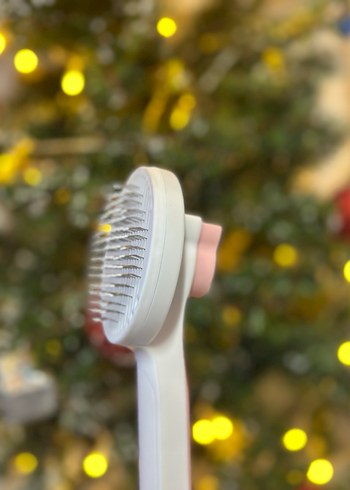 Tek Tuşla Temizlenen Evcil Hayvan Tarak & Masaj Fırçası - Görsel 2