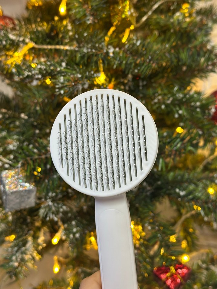 Tek Tuşla Temizlenen Evcil Hayvan Tarak & Masaj Fırçası - Görsel 3