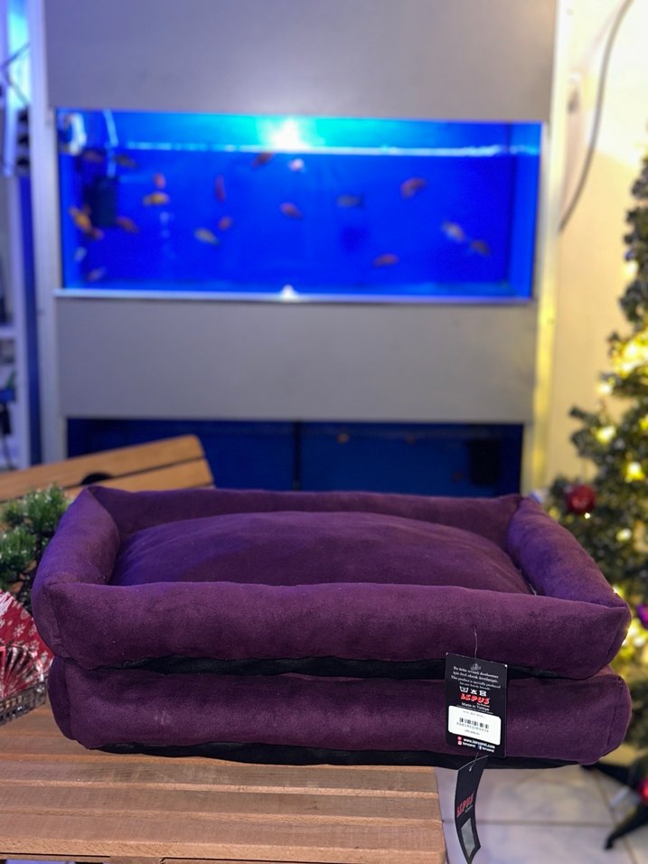 Mor Kedi Yatağı - Görsel 2