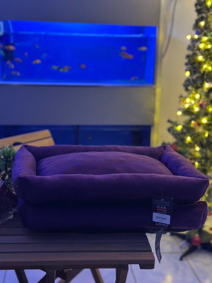 Mor Kedi Yatağı - Görsel 3