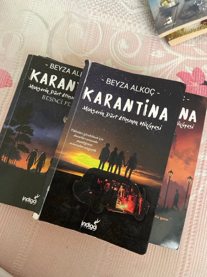 Beyza Alkoç - Karantina Roman Seti - Görsel 4