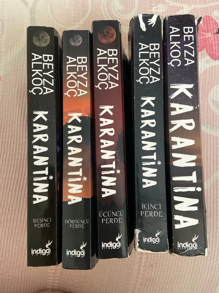 Beyza Alkoç - Karantina Roman Seti - Görsel 2