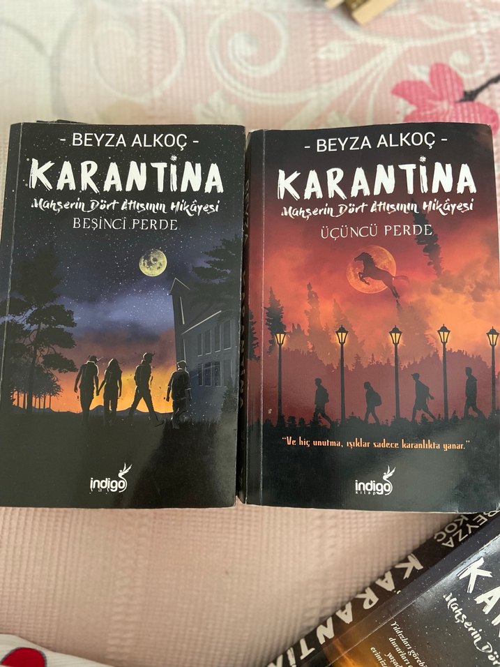 Beyza Alkoç - Karantina Roman Seti - Görsel 5