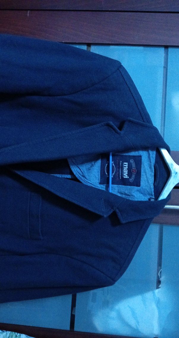 Mavi Erkek Düz Desen Ceket - Görsel 3