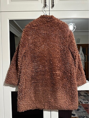 Zara Suni yünlü Zara kaban