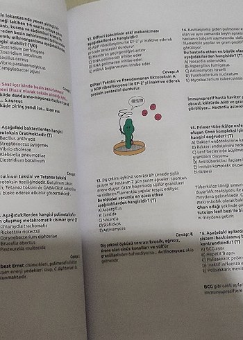 Dusakademisi - Görsel 2