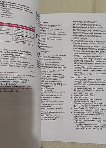 Dusakademisi - Görsel 3