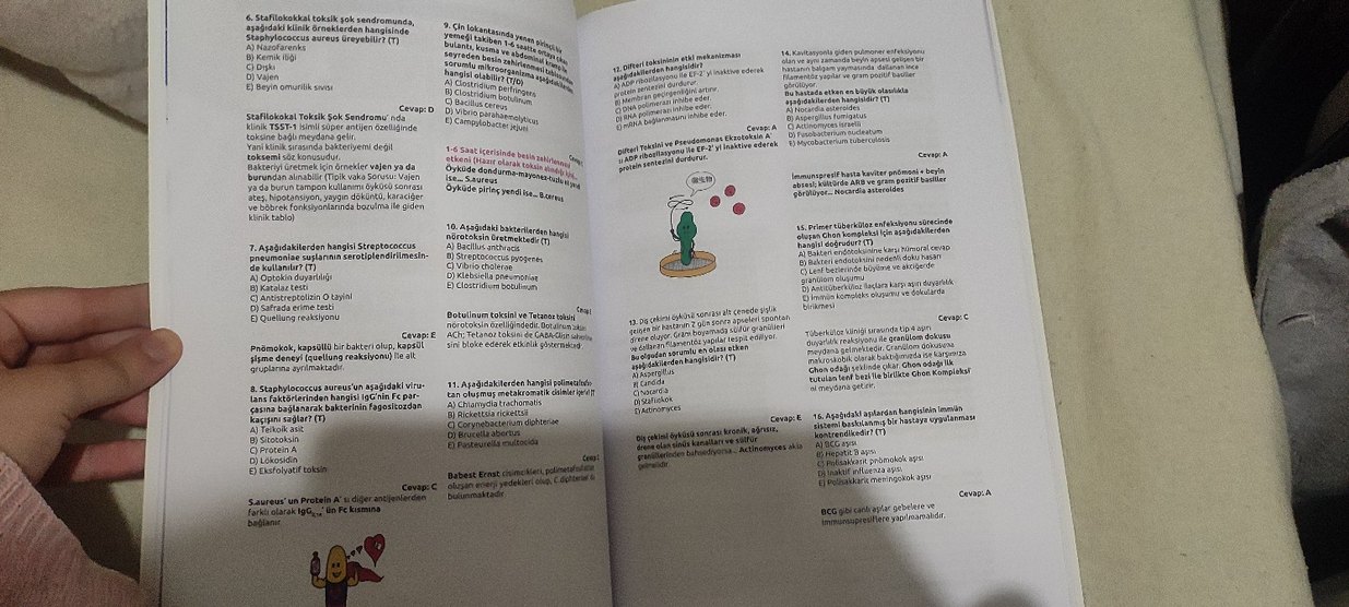 Dusakademisi - Görsel 2